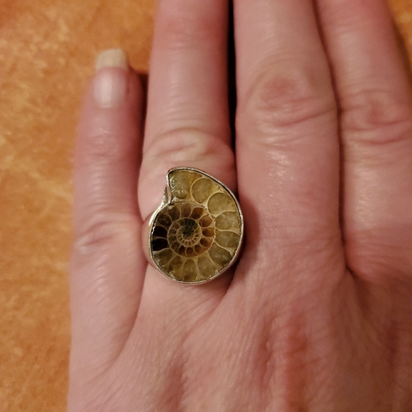 New Men's Ammolite 925 Silver Ring. - Picture 5 of 8